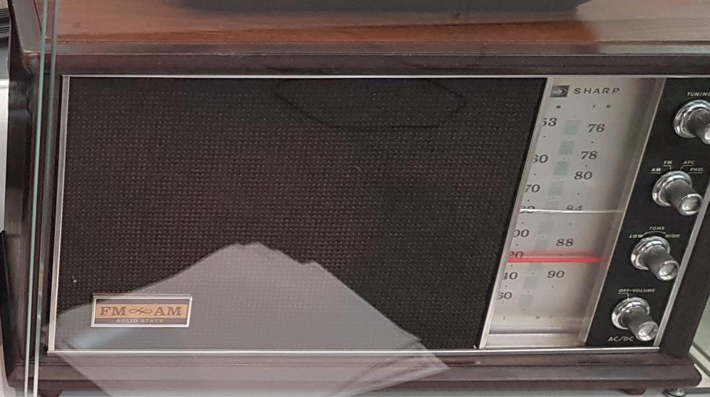 Sharp FM-31