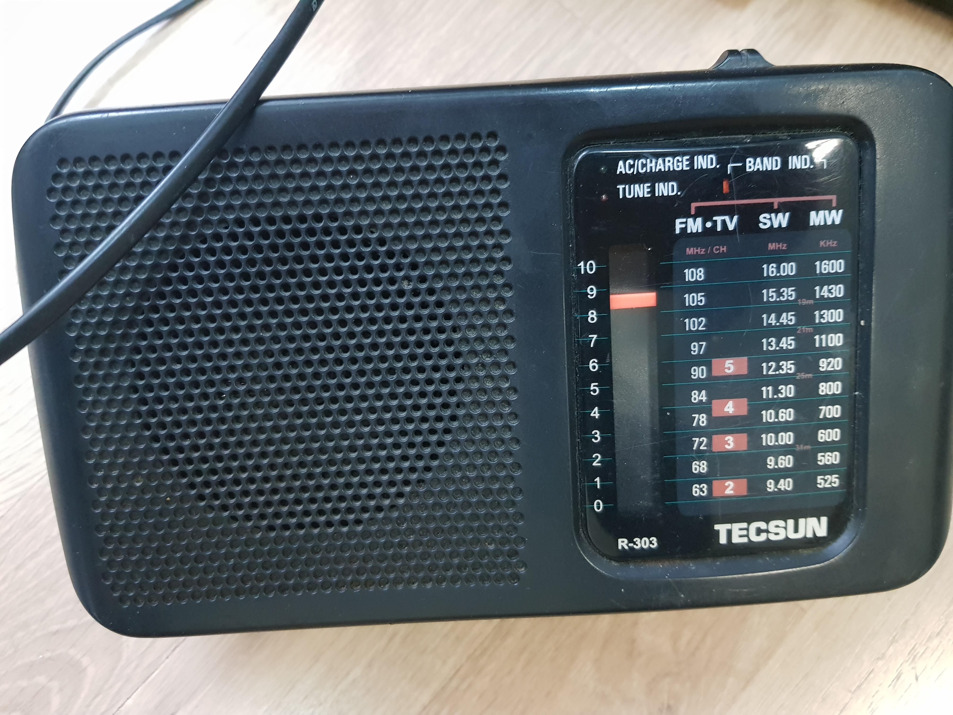 Tecsun R-303