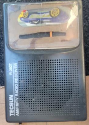 Tecsun R-202T