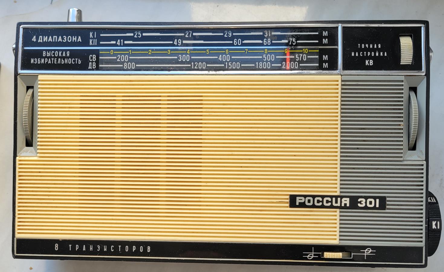Россия (301)